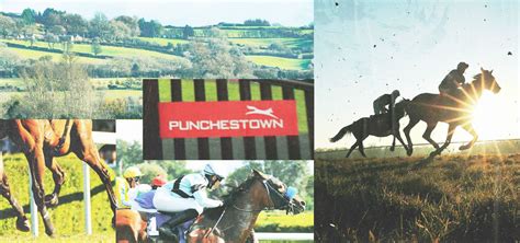 punchestown news